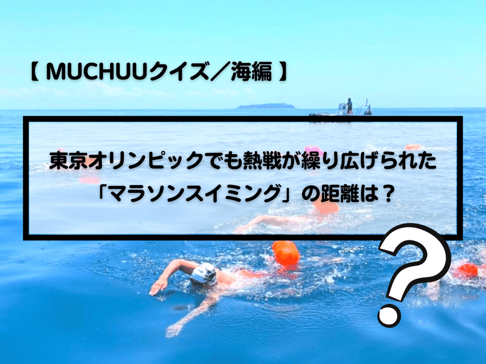 Muchuuクイズ 海編 東京オリンピックでも熱戦が繰り広げられた マラソンスイミング の距離は Muchuu